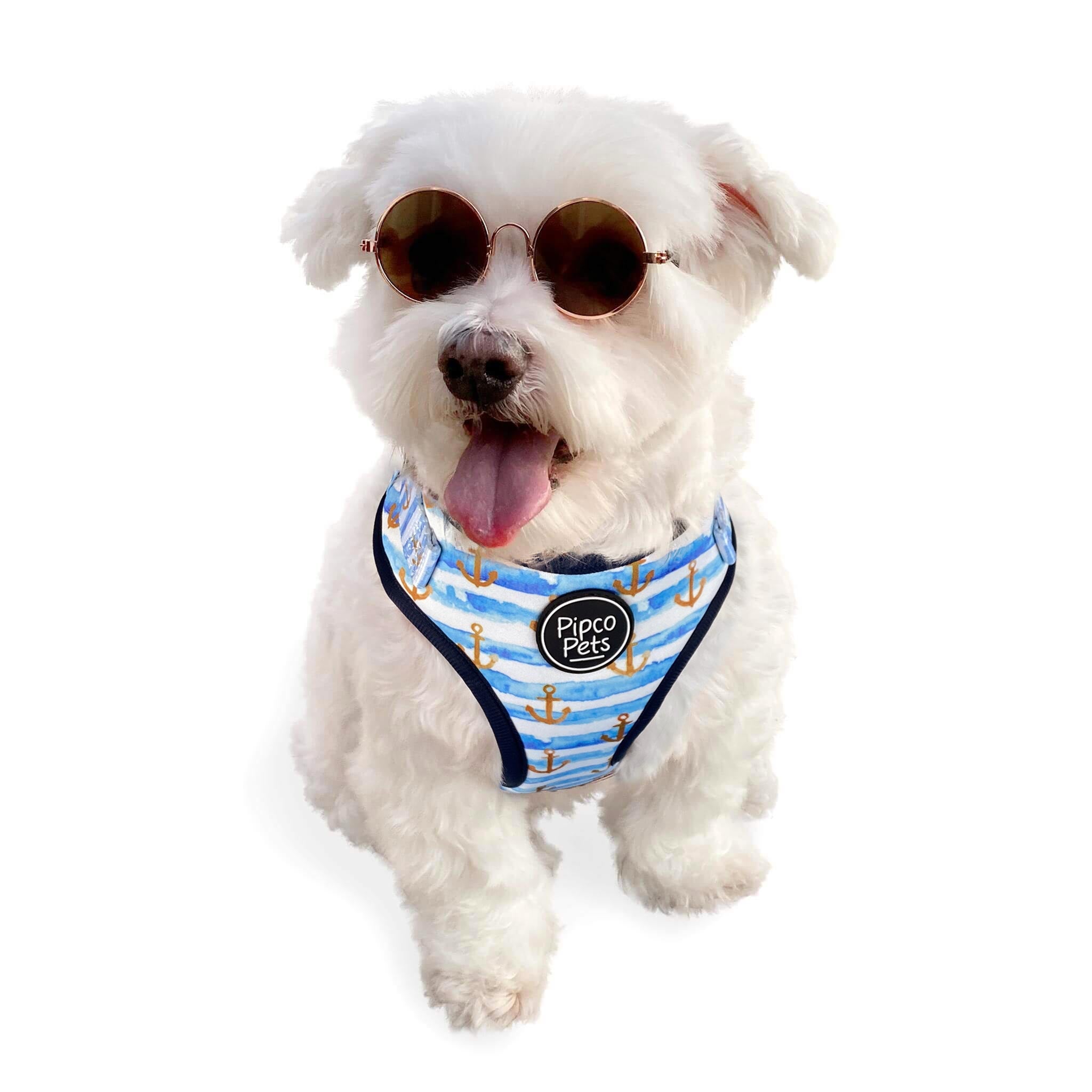 Cute dog wearing sunglasses and Pipco Pets adjustable harness with Sailor Pup anchors print pattern in blue