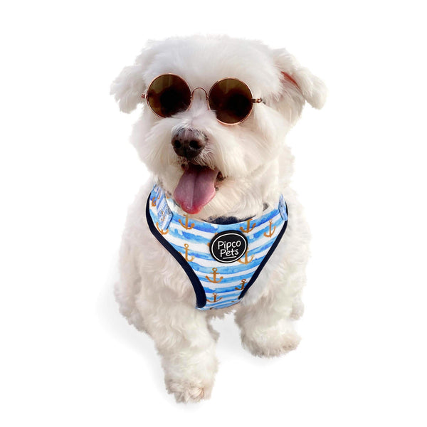 Load image into Gallery viewer, Cute dog wearing sunglasses and Pipco Pets adjustable harness with Sailor Pup anchors print pattern in blue
