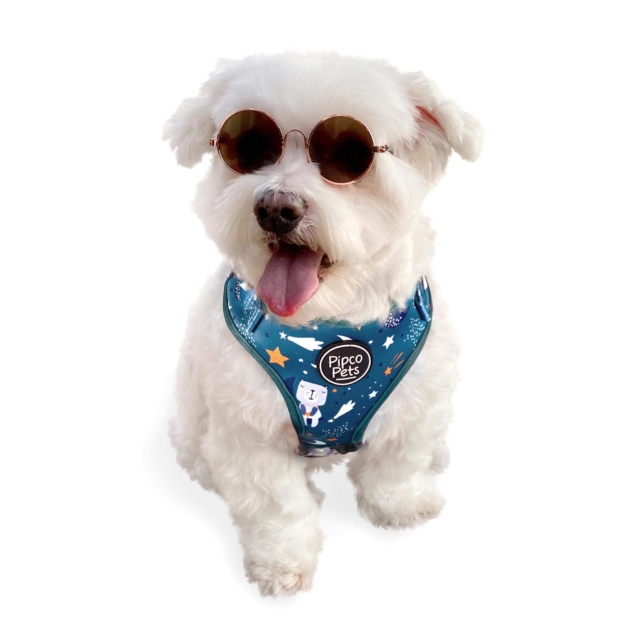 Cute dog wearing sunglasses and Pipco Pets adjustable harness with Starry Night outer space and stars print pattern in teal