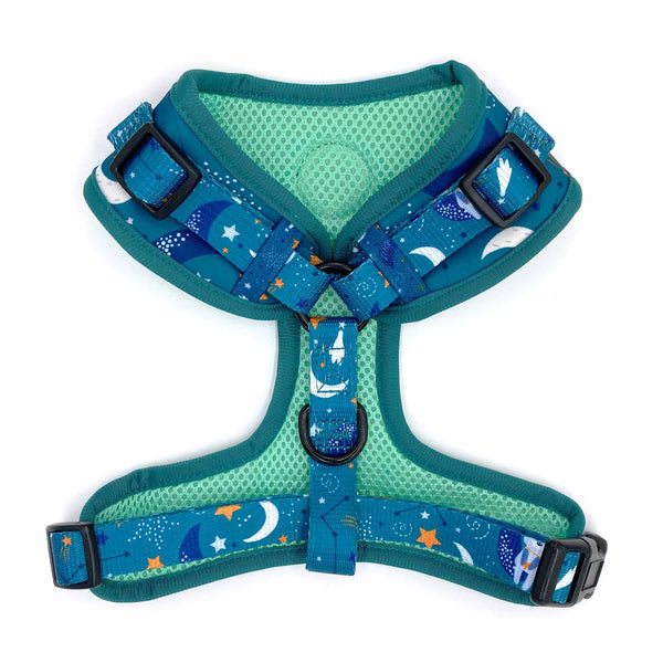 Load image into Gallery viewer, Back view of Pipco Pets adjustable dog harness with Starry Night outer space and stars print pattern in teal 
